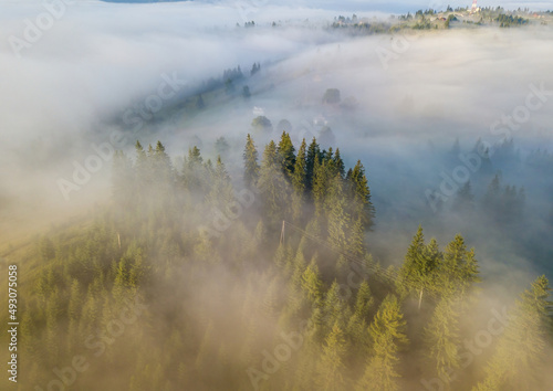 Fototapeta Naklejka Na Ścianę i Meble -  Fog envelops the mountain forest. The rays of the rising sun break through the fog. Aerial drone view.
