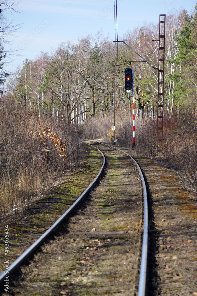 Torowisko kolejowe, zelektryfikowane z świetlną sygnalizacją kolejową w Polsce. Słup sygnalizacyjny z 5 światłami. Tory biegną przez las. - obrazy, fototapety, plakaty 