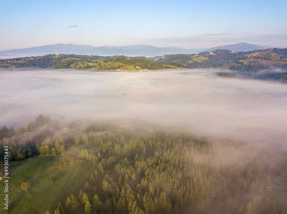 Morning mist in Ukrainian Carpathian mountains. Aerial drone view.