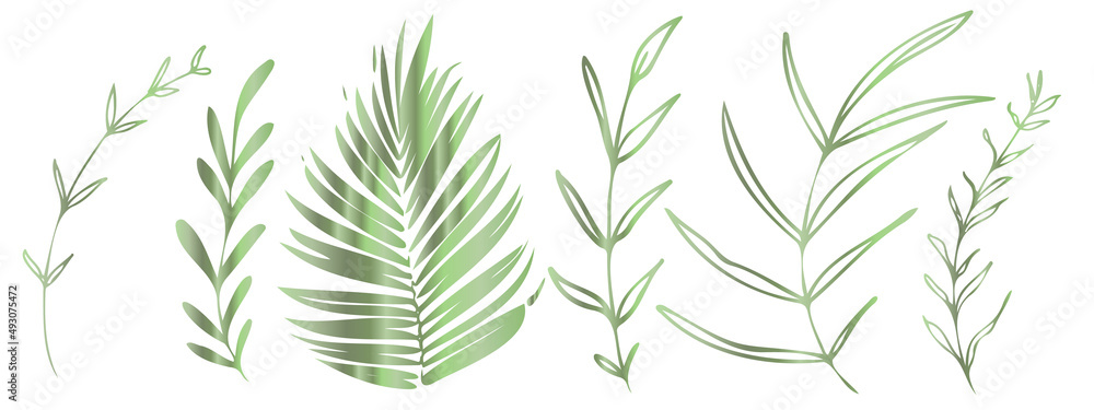 Vector plants and grasses in green style with shiny effects. Minimalist style. Hand drawn plants. With leaves and organic shapes. For your own design. Vector plants and grasses in green style with shiny effects. Minimalist style. Hand drawn plants. With leaves and organic shapes. For your own design.