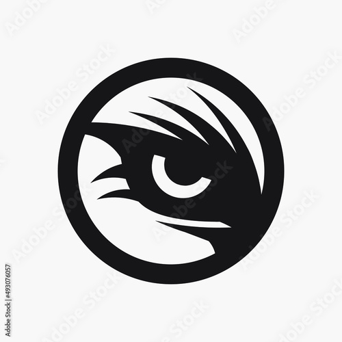 Tiger eye logo design vector. Colorful art with soft background