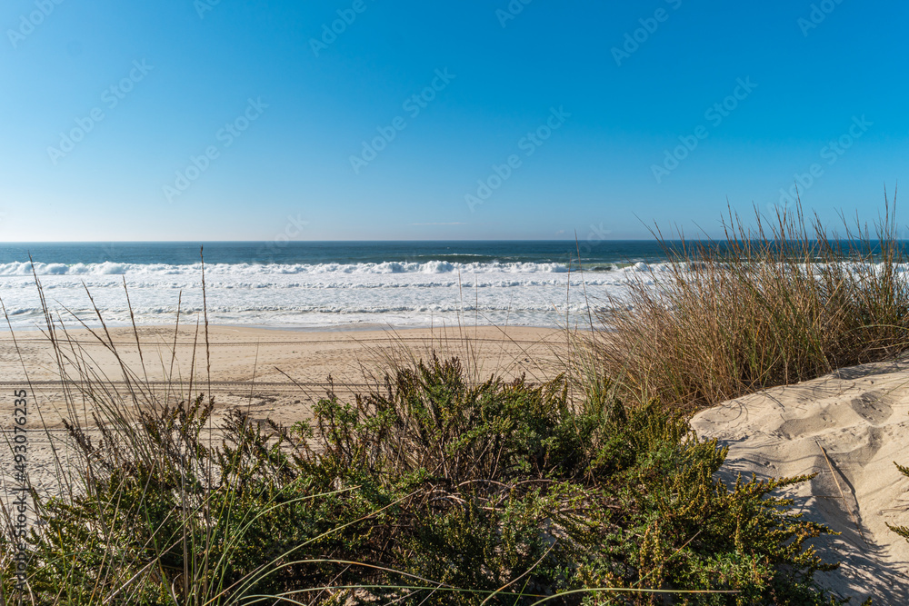 Landscape of Furadouro beach with vegetation in the dunes. Ovar, Portugal.