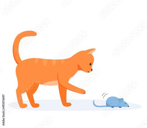 Red domestic cat playing with automatic toy mouse. Activity for indoor pet. Interactive cat supplies and accessories. Flat style vector