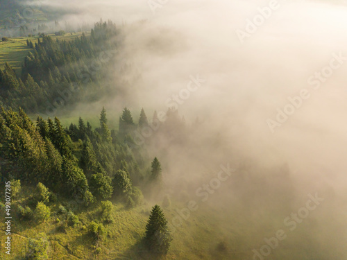 Fog envelops the mountain forest. The rays of the rising sun break through the fog. Aerial drone view.