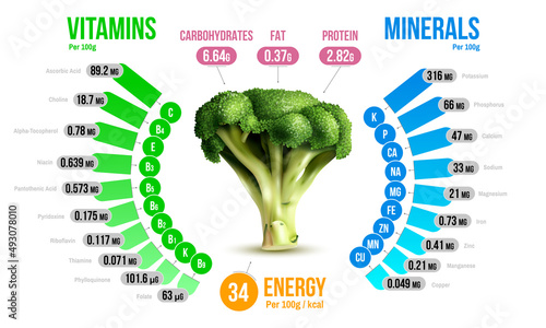 Broccoli Nutrients Infographics Diagram