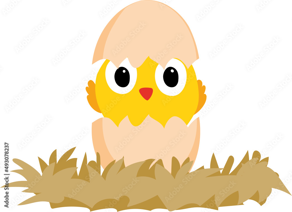 Obraz premium newborn, chick, livestock, poultry, single, baby, close