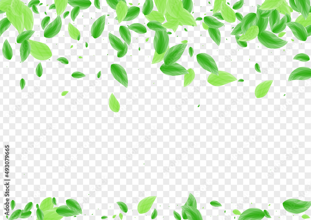 Greenish Leaf Background Transparent Vector. Vegetation Summer Design. Woods Texture. Light Green Set Frame. Plant Figure.
