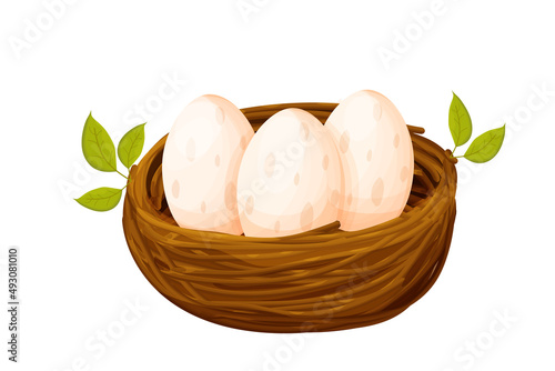 Bird nest from sticks with eggs decorated with leaves in cartoon style isolated on white background. Spring clip art, nestling. new life.