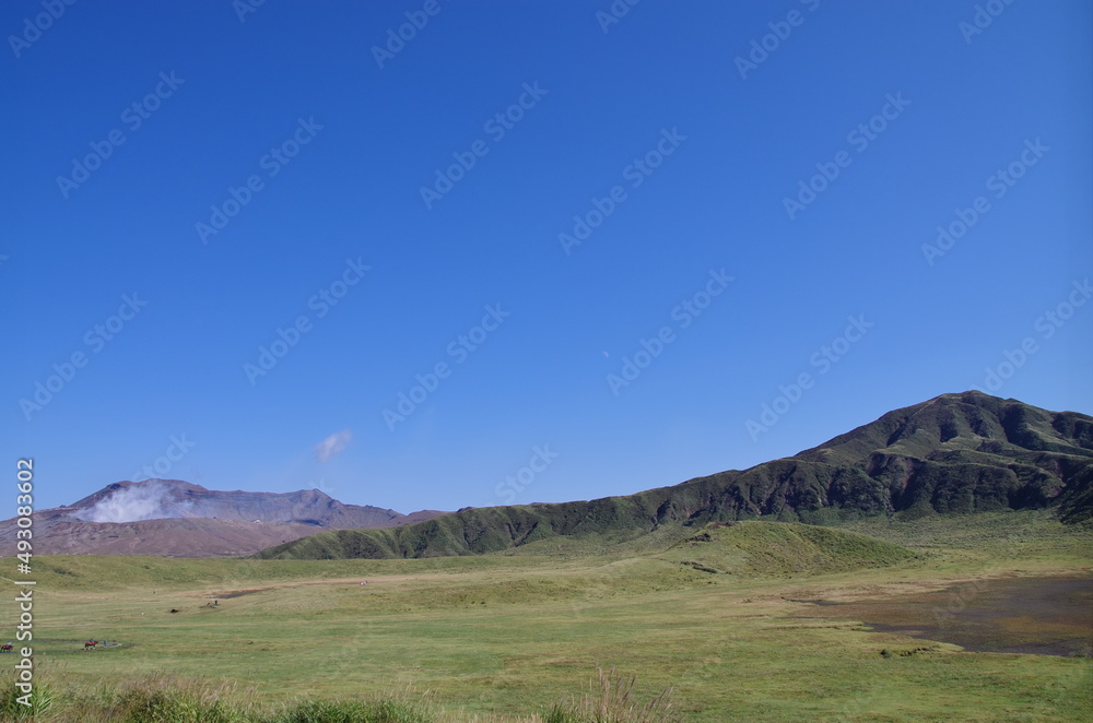 自然の風景