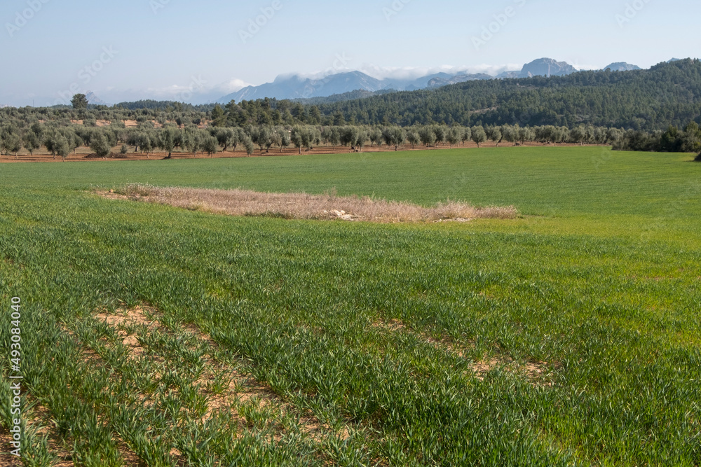 Matarranya, Teruel province. Spain Matarranya, Teruel province. Spain