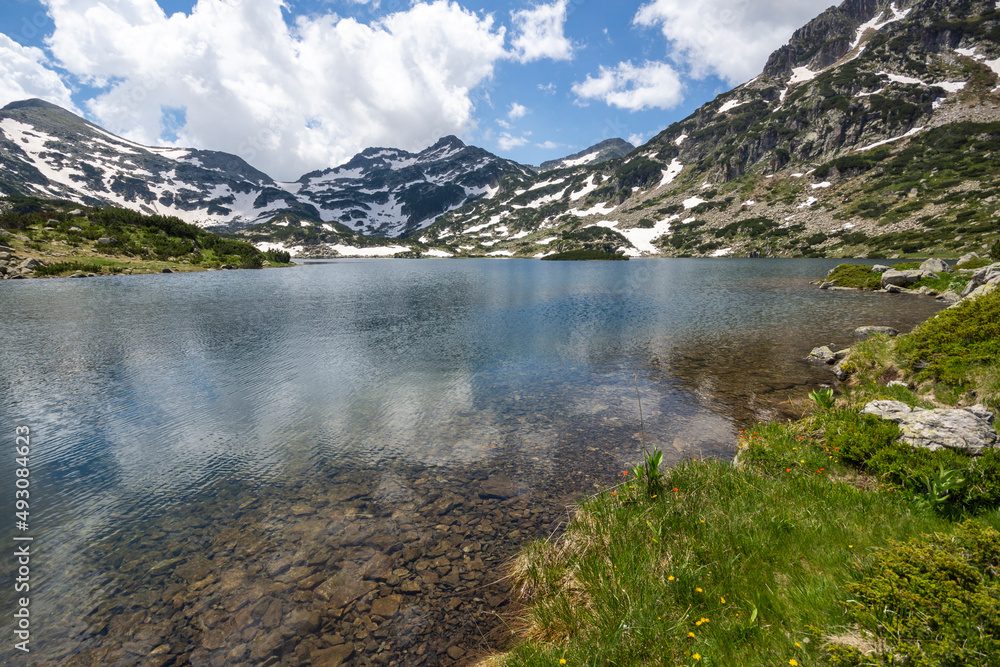 Summer Landscape of Pirin Mountain near Popovo Lake, Bulgaria