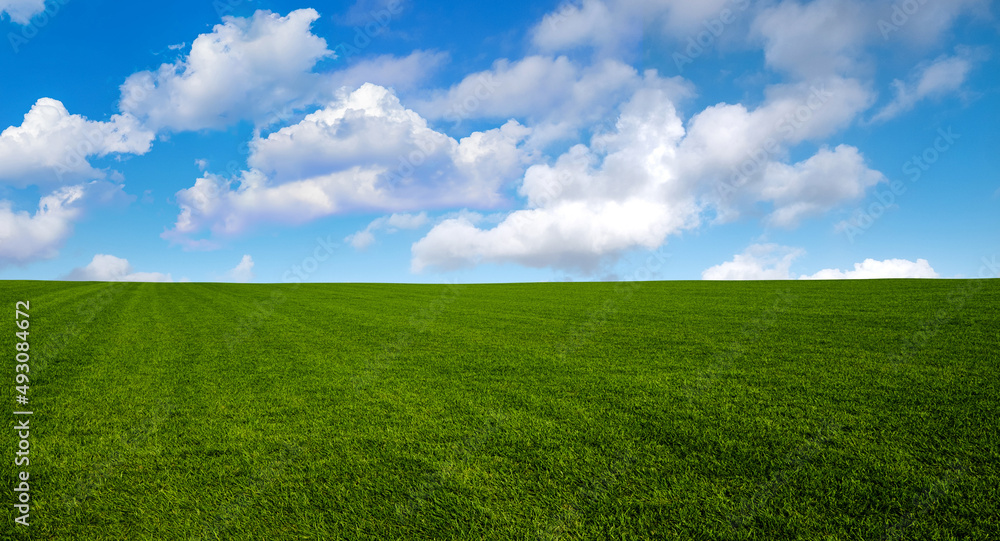 Green grass and blue sky with white clouds Green grass and blue sky with white clouds