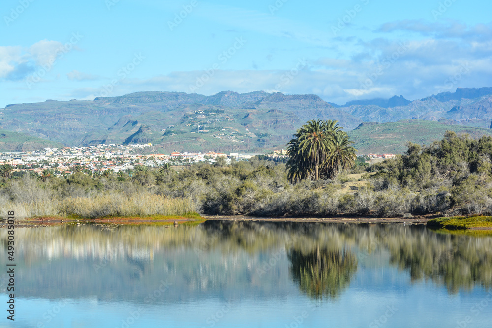 oasi di maspalomas isola gran canaria oasi di maspalomas isola gran canaria