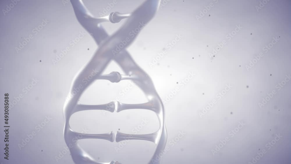 Animation of double helix DNA (deoxyribonucleic acid) molecule. DNA ...