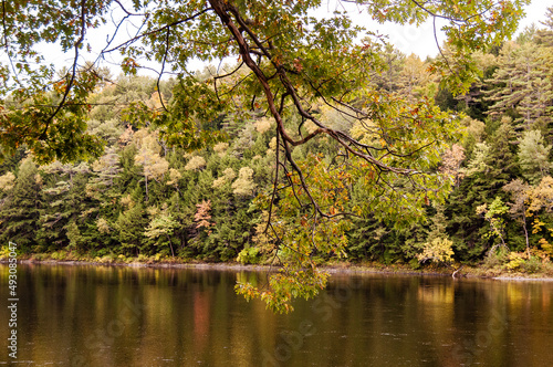 Fall in New England