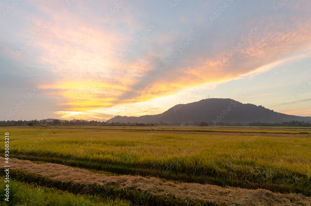Fototapeta premium Beautiful morning sunrise colorful cloud