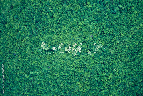 Top down flat aerial view of dark lush forest with blooming green trees canopies in spring