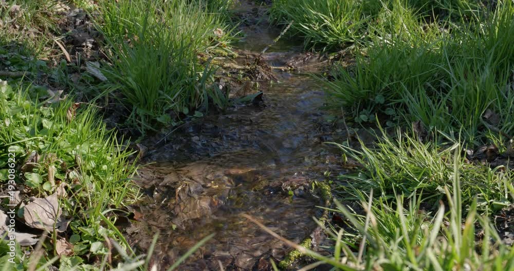 Spring background Stream of water in the forest Spring background Stream of water in the forest
