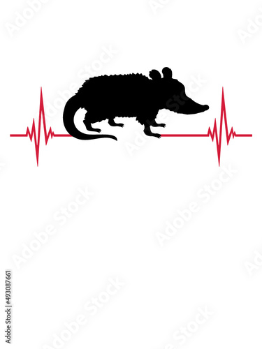 Puls Opossum Herzschlag 