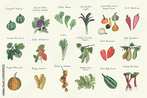 Fotografie, Obraz vegetables vector hand drawn illustrations set