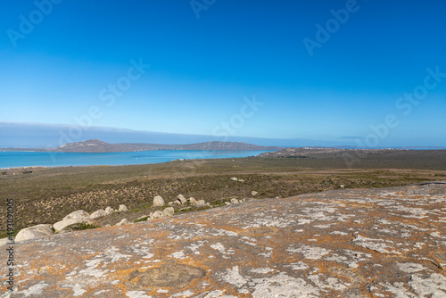 Azure blue water of the Langebaan Lagoon in the West Coast National park in South Africa photo