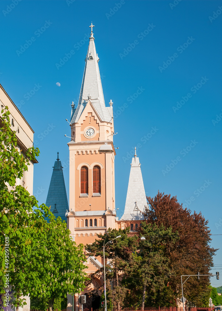 Scenic view of St.Martin Cathedral in Mukachevo downtown, Transcarpathian region, Ukrainee