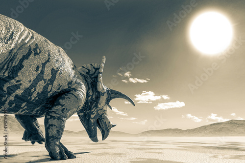 triceratops on the desert walking after rain rear view close up © DM7