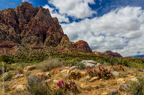 Photography Spring at Red Rock