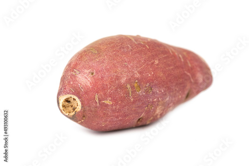 The sweet red potato tubers