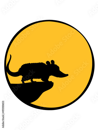 Mond Klippe Opossum 
