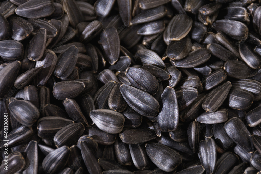 Black sunflower seeds. To create backgrounds, textures, presentations and backgrounds. Black sunflower seeds. To create backgrounds, textures, presentations and backgrounds.