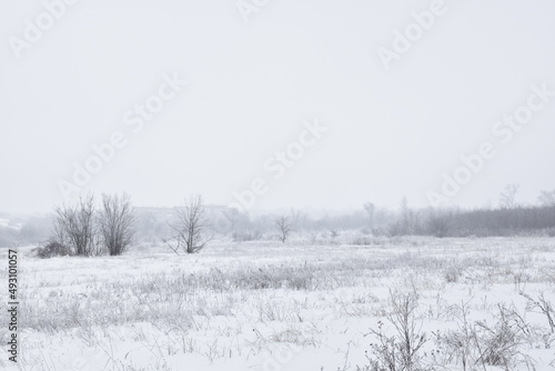 Winter field covered by snow