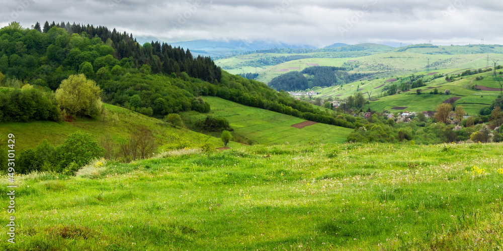 countryside landscape on a cloudy day in mountains. village in the distant valley. green nature scenery in spring. grassy meadows and trees on the hills