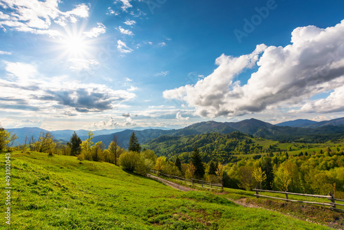 countryside scenery of carpathian mountains. beautiful green landscape on a sunny afternoon in spring. trees on the grassy hills and fluffy clouds on the sky