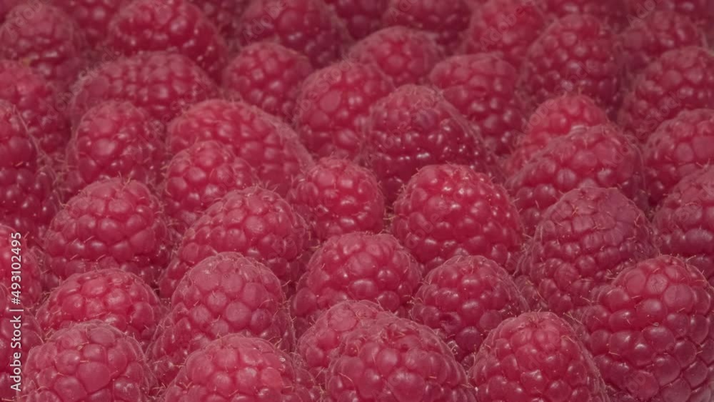 A woman takes a delicious ripe raspberry with her hand. Close-up of a hand and a raspberry. A woman takes a delicious ripe raspberry with her hand. Close-up of a hand and a raspberry.