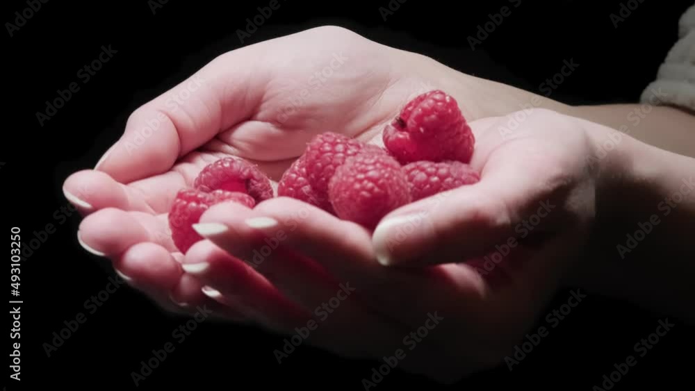 Female hands show delicious ripe raspberries on a black background. Female hands show delicious ripe raspberries on a black background.