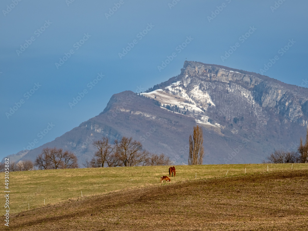 Beautiful rural scenes of the Vercors Vercors Massif in the French Pre