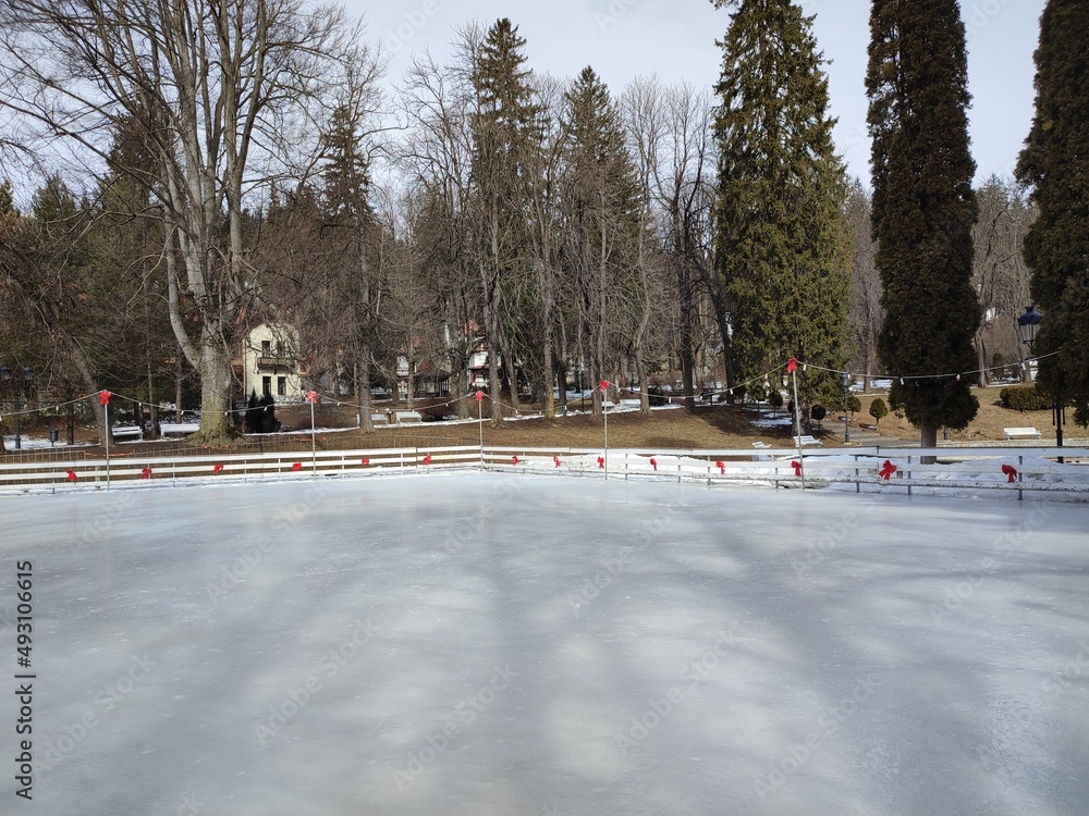 Obraz premium skating rink