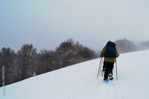 Randonnée raquettes en montagne