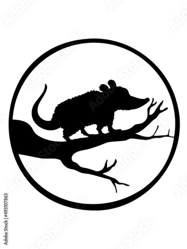Baum Opossum Umriss 