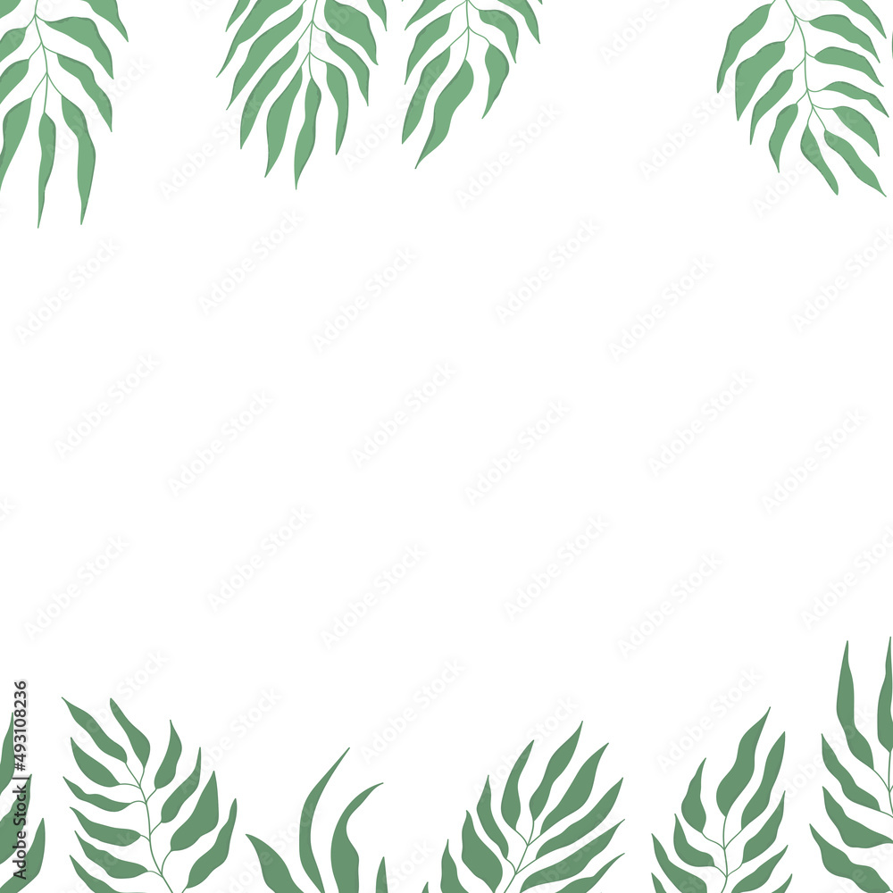 Fototapeta premium Floral web banner with drawn color exotic leaves. Nature concept design. Modern floral frame with summer branches. Vector illustration. Copy space