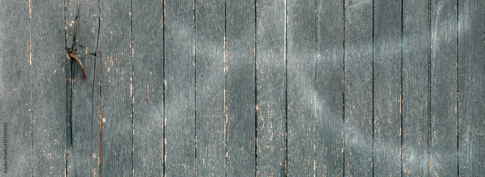 Naturalne Tło starych obdartych z farby drzwi z drewnianych desek. Detal zakrzywionego skorodowanego gwoździa. Panorama
 - obrazy, fototapety, plakaty 