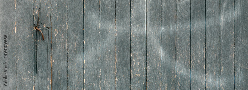Naturalne Tło starych obdartych z farby drzwi z drewnianych desek. Detal zakrzywionego skorodowanego gwoździa. Panorama
