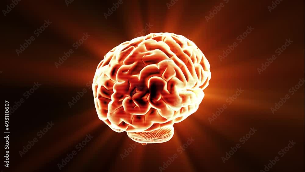 Brain hologram visualization looped animation Brain hologram visualization looped animation
