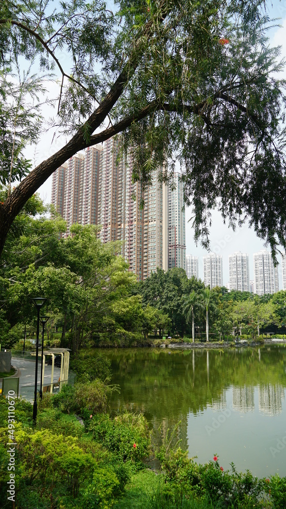Obraz premium Tin Shui Wai parque, em Hong Kong, vista do lago e grande edificio residencial ao fundo