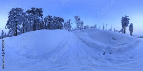 Fototapeta Naklejka Na Ścianę i Meble -  Snowy Forest in Winter HDRI Panorama