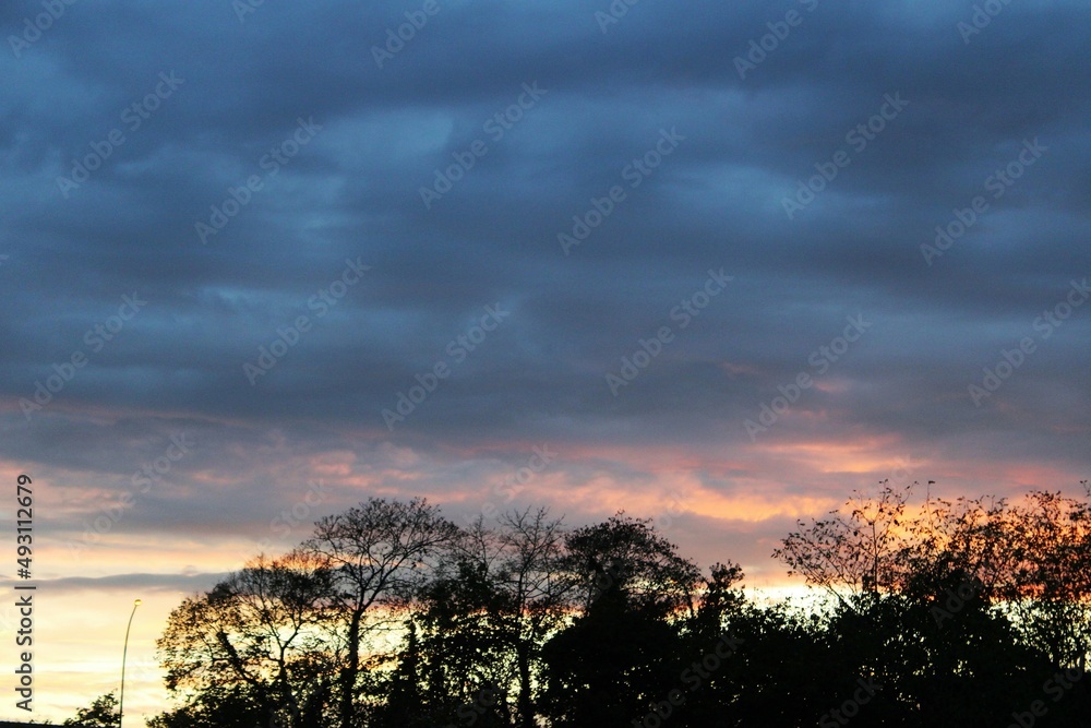 Ombre des arbres au couché de soleil - Trees shadow and cloudy sky at sunset 