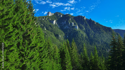 Toaca peak rising impetuous above the surrounding wild coniferous forests. Ceahlau Mountains contains lots of calcareous rocks forming an imposing array of sharps crests. Carpathia, Romania. photo