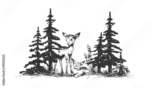 two deer in a forest clearing in the pines 

two deer an adult and a child in a forest glade in a pine forest, vector outline drawing, black silhouette on a white background, background, print, vintag