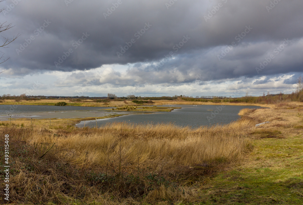 North Cave Wetlands in East Yorkshire, an important nature reserve for many species of birds and mammal.  A cold day in winter with stormy sky lakes, and golden reedbeds. Horizontal.  Copy space.
